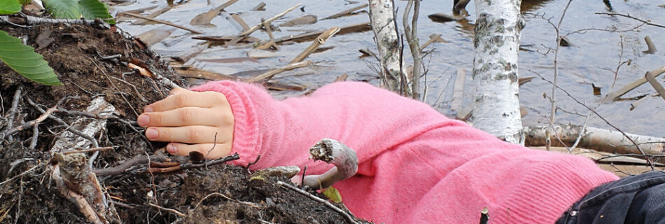 a dancer in a pink sweater is performing in the mud at the edge of a body of water. she is lying down, becoming part of the landscape, so that we cannot see her face or head. the softness of her sweater and the clean skin of her hand contrasts with the dirt and roots and leaves and birch trees surrounding her.